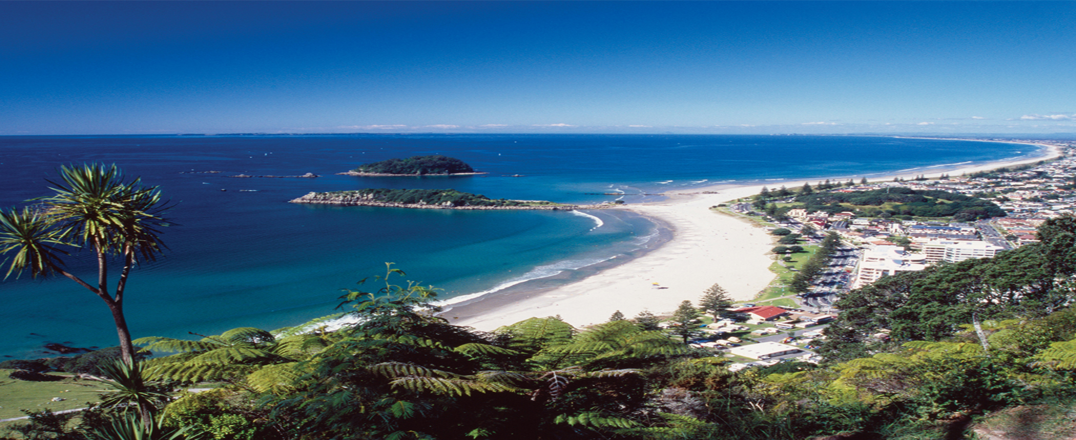 Bay of Plenty