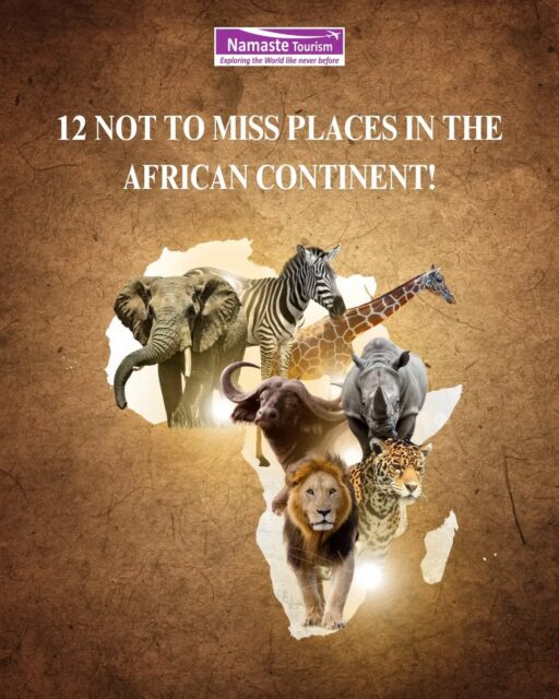 From vast deserts and dramatic wildlife encounters to vibrant cultures and breathtaking coastlines, Africa is a continent of unforgettable experiences. 🌍✨

Which of these 12 incredible destinations is calling your name next? Let us help you plan the journey of a lifetime.

#AfricaTravel #ExploreAfrica #BucketListTravel #WanderMore #NamasteTourism

{ nature, wildlife, travel, escape, explore }