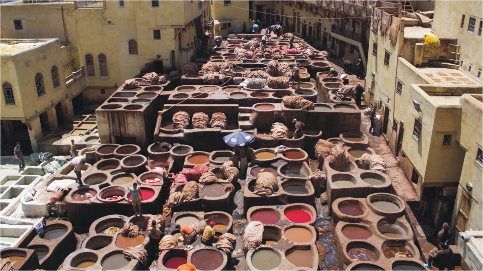 Tannery in Fes Morocco