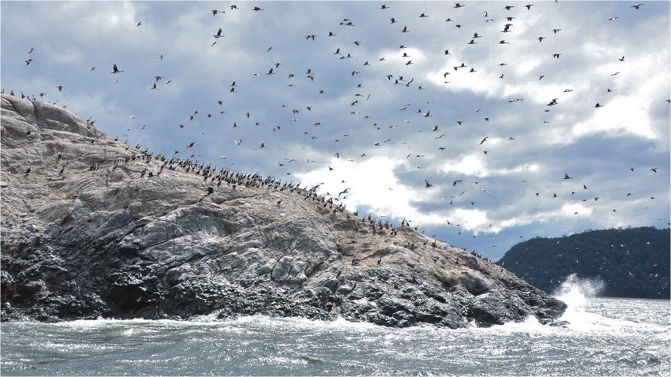 islote-barrientos-chile