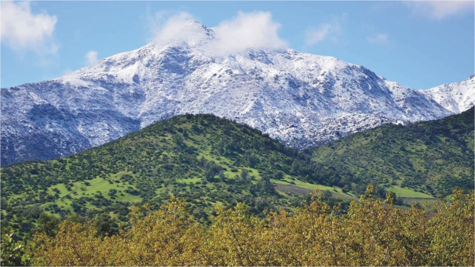 maipo-valley-chile