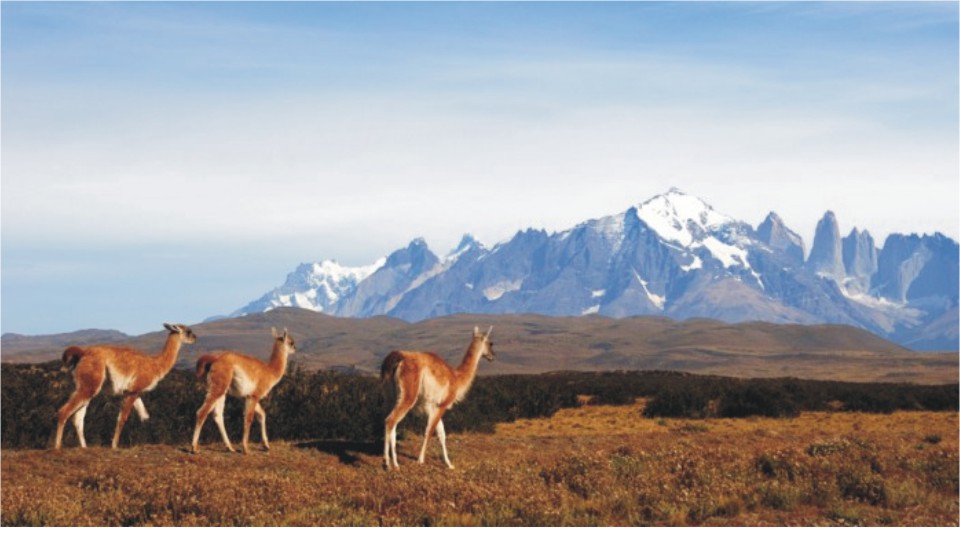 torres-del-paine