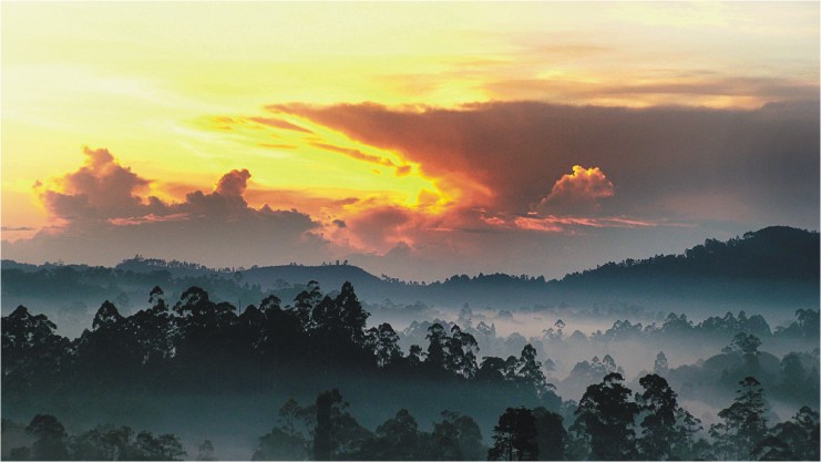 A scene in Sri Lanka