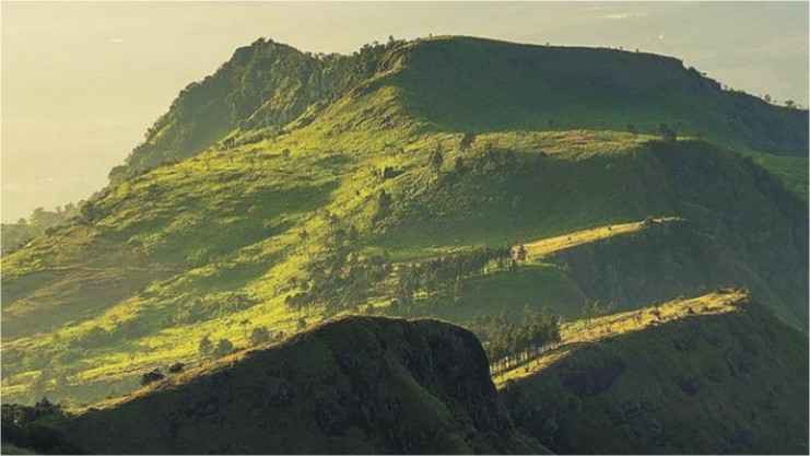 Knuckles Mountain Range