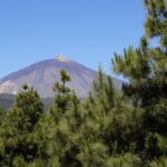 Volcanic hike in Spain